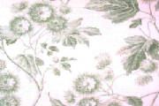 jc_virginia_toile.jpg